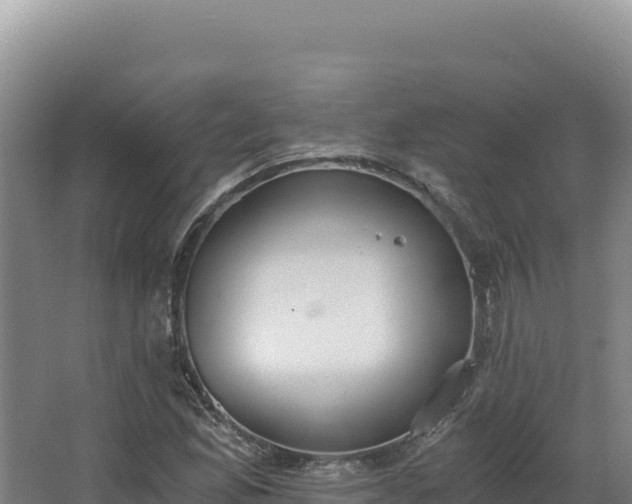 X0000068301165200604281702