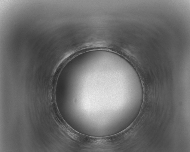 X0000068301166200604281702