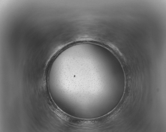 X0000068301167200604281702