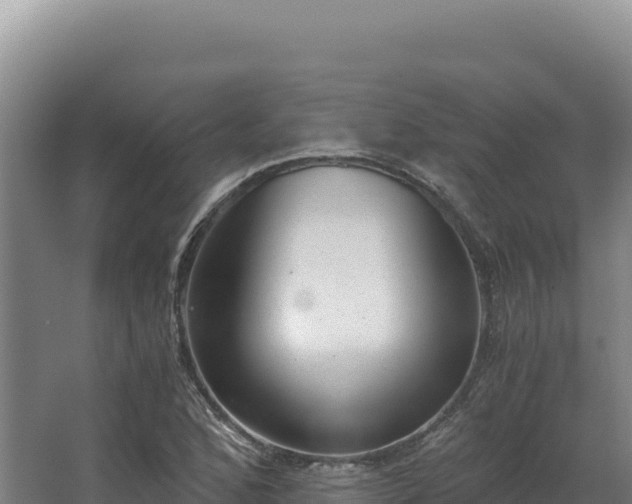 X0000068301168200604281702