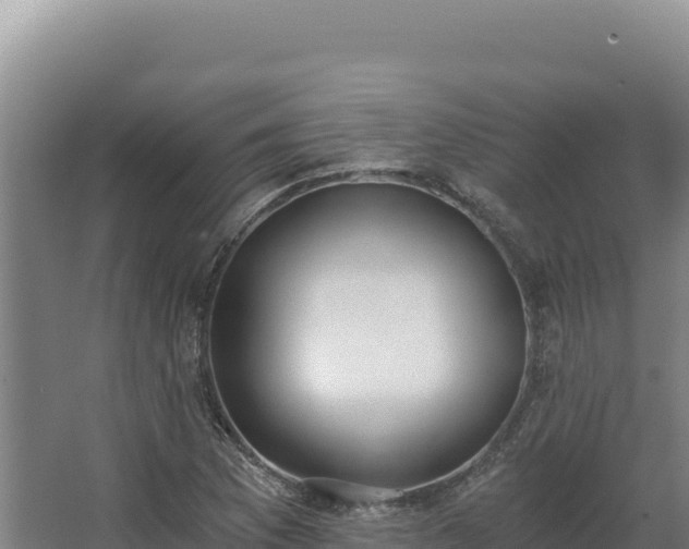 X0000068301169200604281702