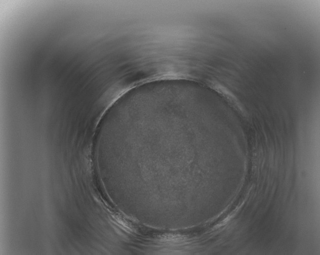 X0000068301170200604281702