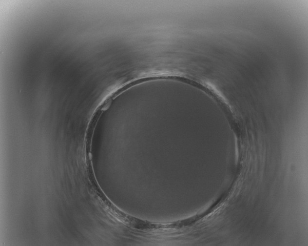 X0000068301173200604281702