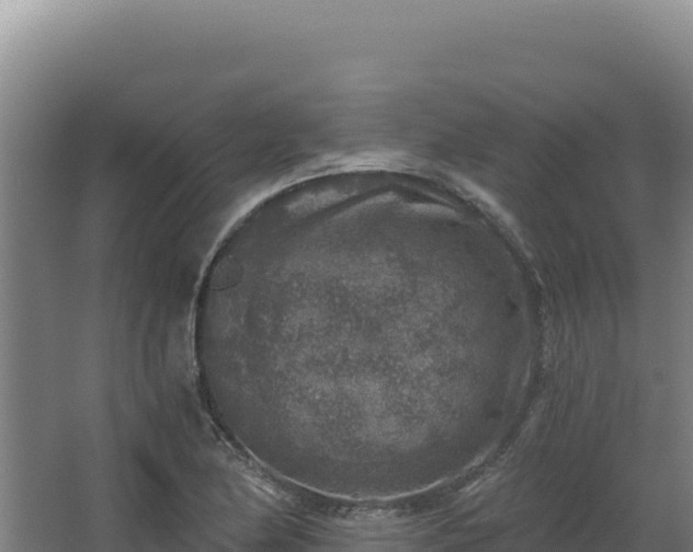 X0000068301174200604281702