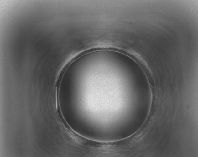 X0000068301175200604281702