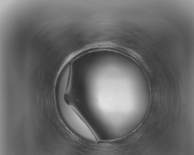 X0000068301176200604281702