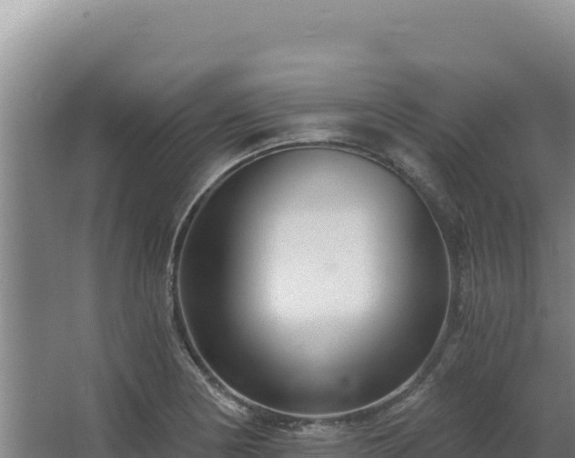 X0000068301178200604281702