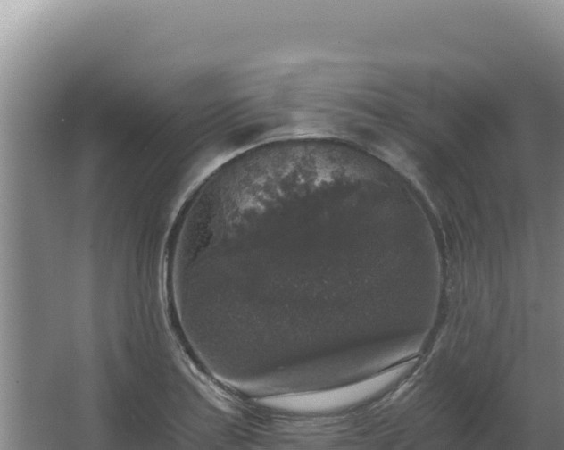 X0000068301179200604281702