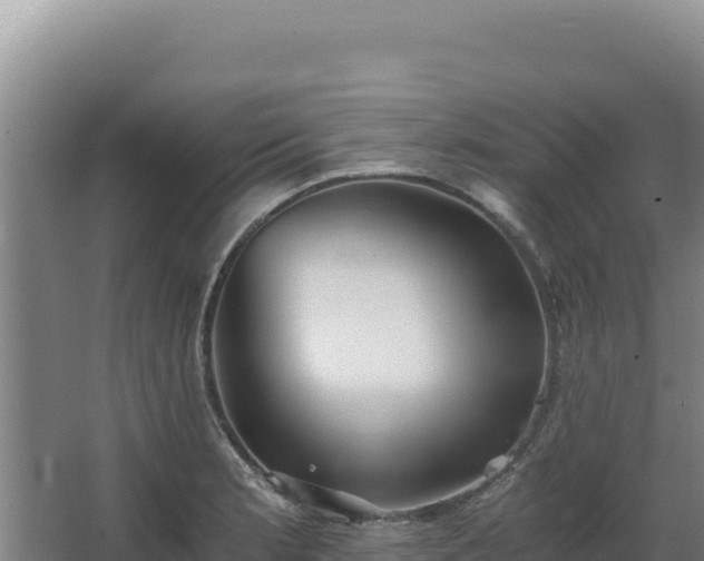 X0000068301181200604281701