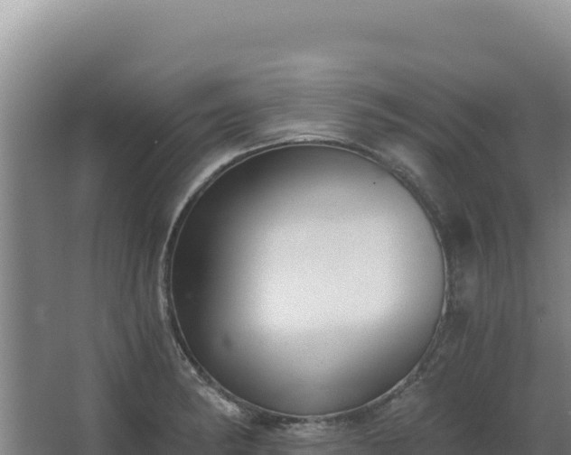 X0000068301182200604281701