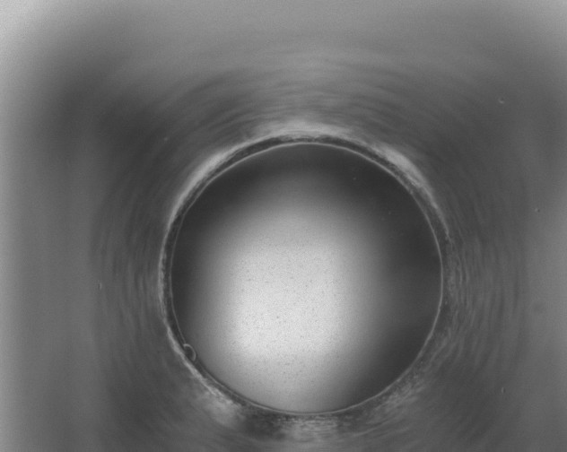 X0000068301183200604281701