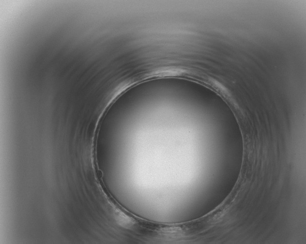 X0000068301186200604281701