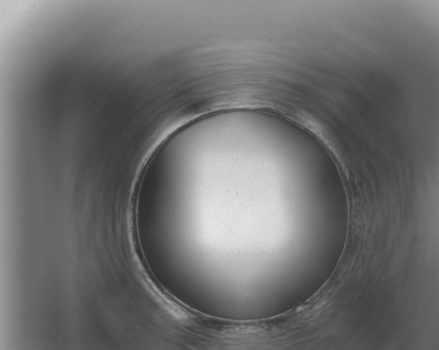 X0000068301187200604281701