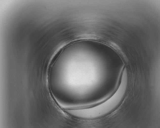 X0000068301188200604281701