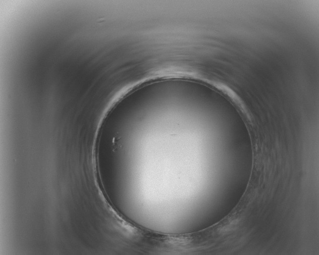 X0000068301191200604281701