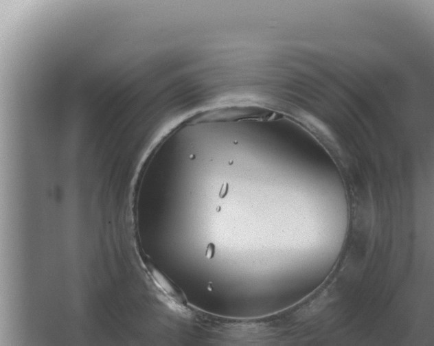 X0000068301192200604281701