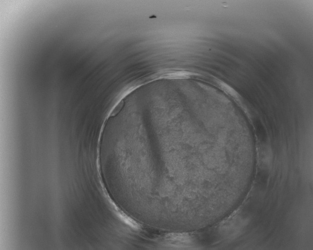 X0000068301194200604281701