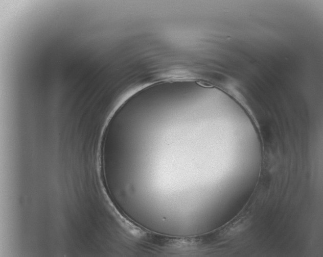 X0000068301195200604281701