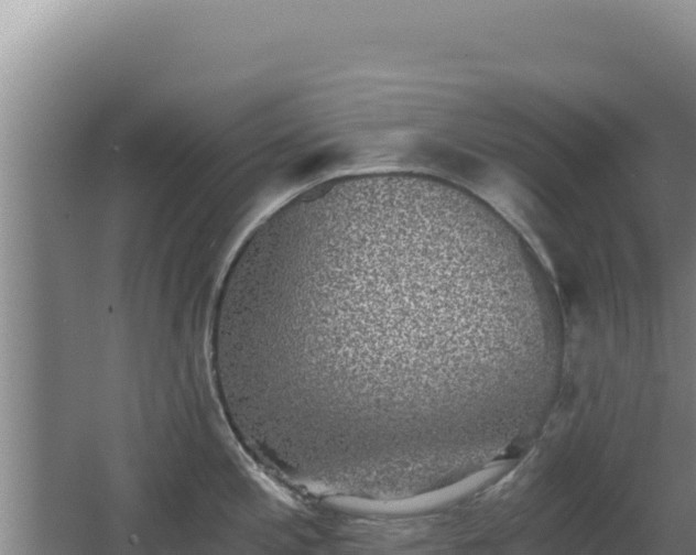 X0000068301197200604281701