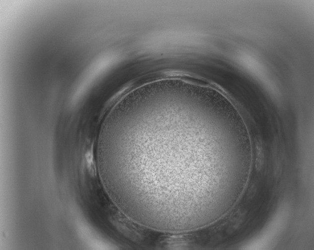 X0000068301198200604281701