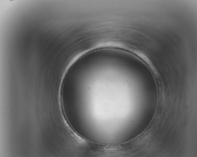 X0000068301199200604281701