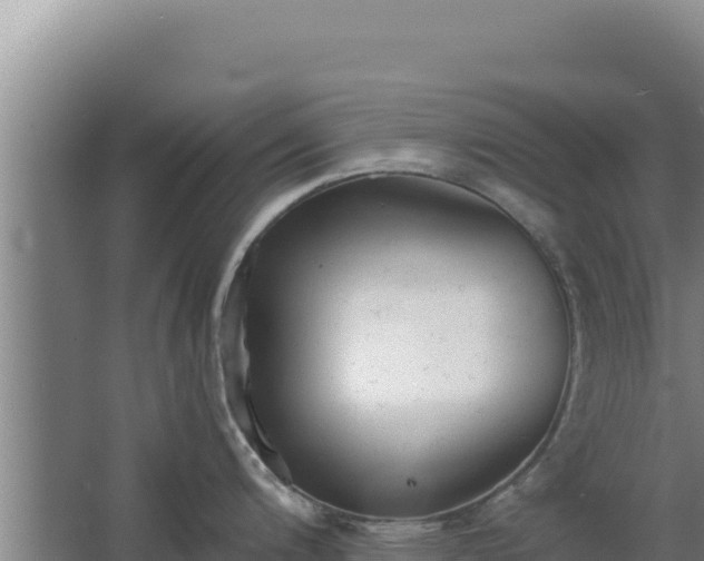 X0000068301200200604281701