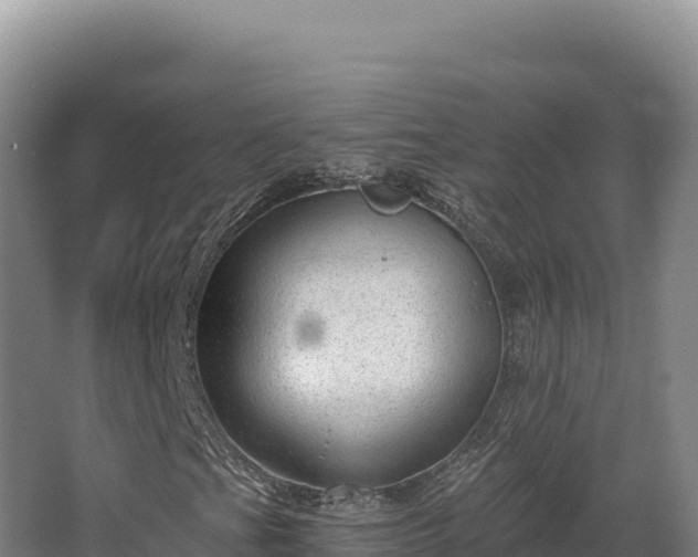 X0000068301201200604281700