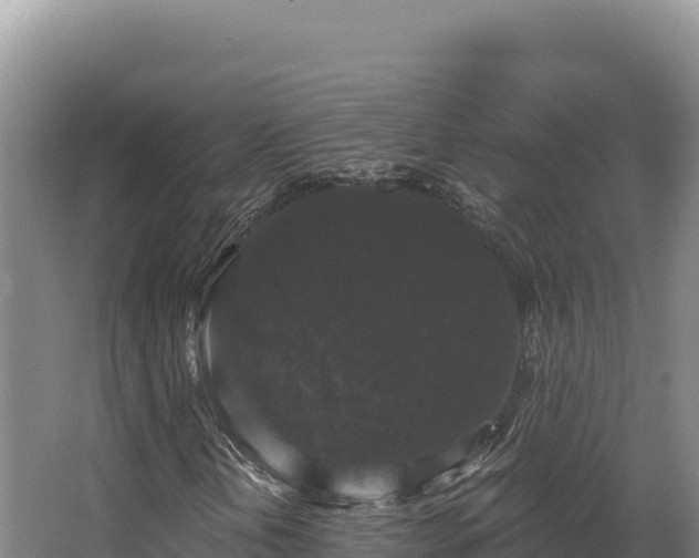 X0000068301202200604281700