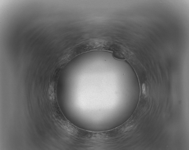 X0000068301203200604281700