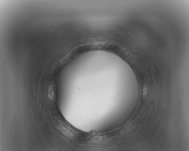 X0000068301204200604281700