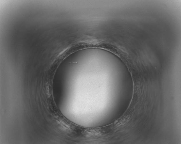 X0000068301205200604281700