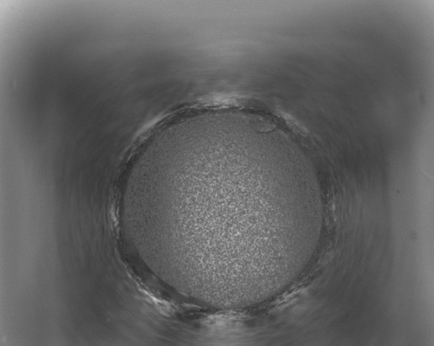 X0000068301206200604281700