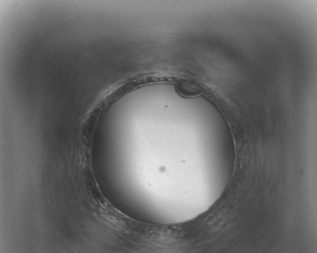 X0000068301207200604281700