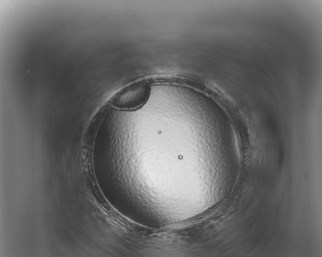 X0000068301208200604281700