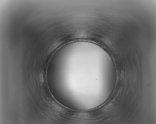 X0000068301209200604281700