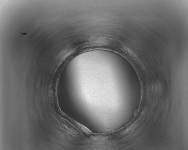 X0000068301210200604281701