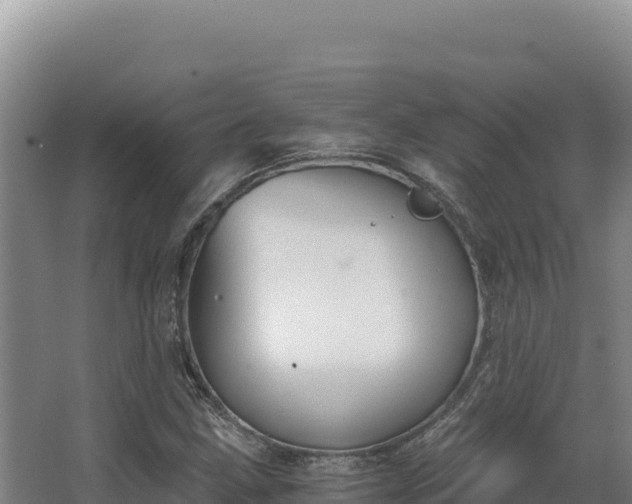 X0000068301211200604281701