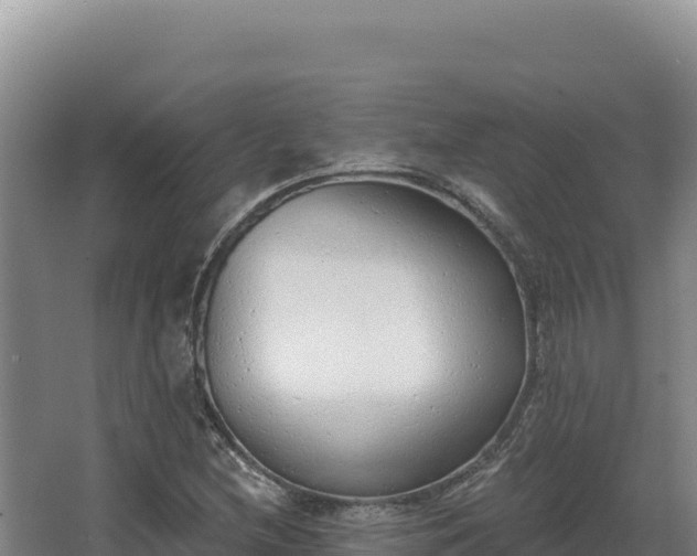 X0000068301212200604281701