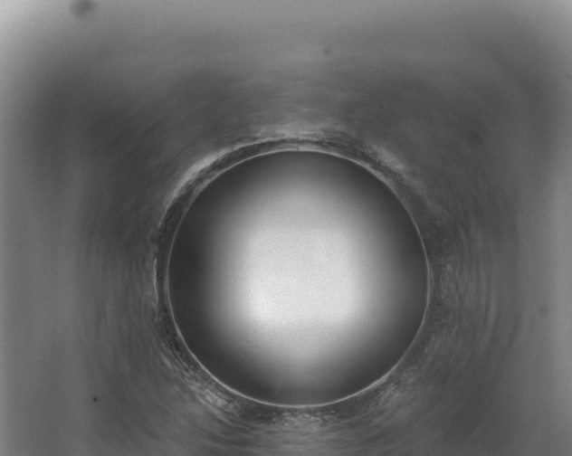 X0000068301214200604281701