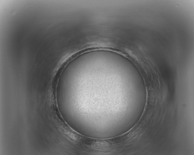 X0000068301215200604281701