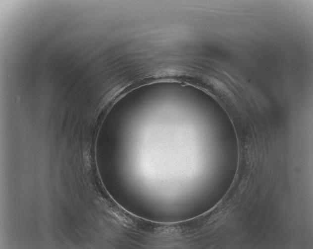 X0000068301217200604281701