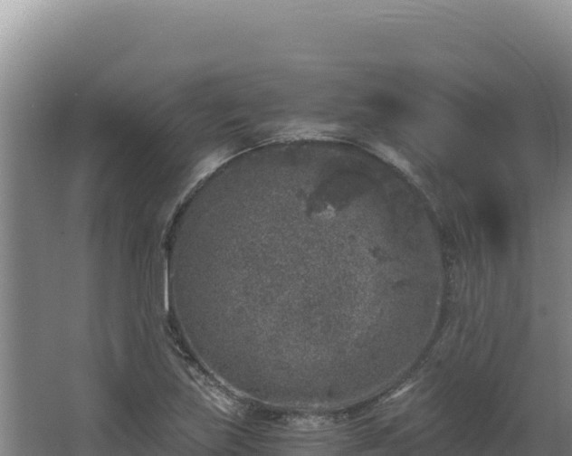 X0000068301219200604281701