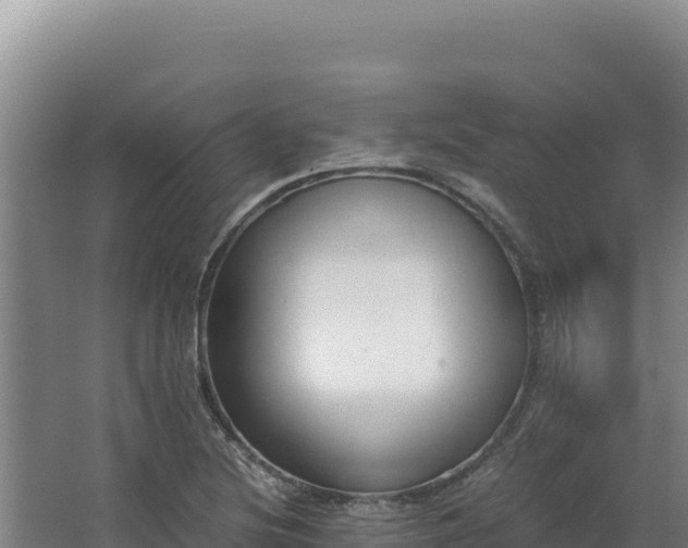 X0000068301220200604281701