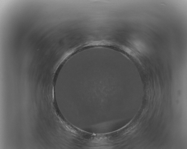 X0000068301221200604281701