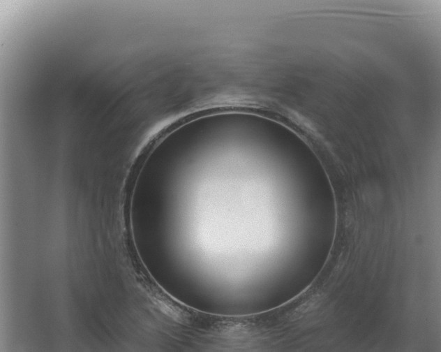 X0000068301222200604281701