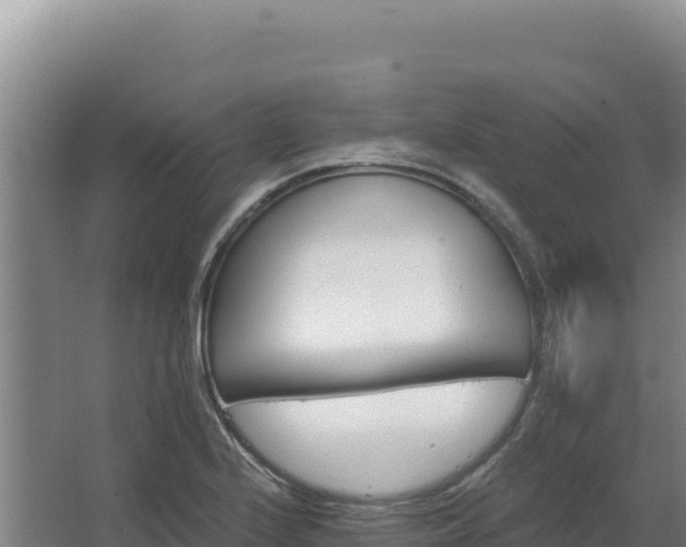 X0000068301224200604281701