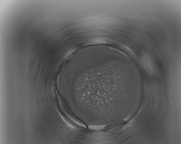 X0000068301225200604281701