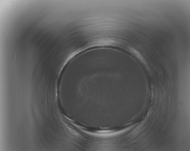 X0000068301226200604281701