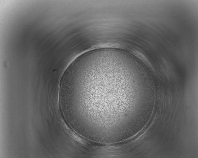 X0000068301228200604281701