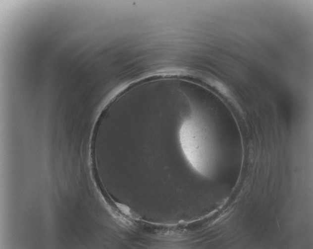 X0000068301229200604281701